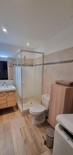 une salle de bain avec une douche, des toilettes et un lavabo dans l'établissement Maison de village Ramatuelle, à Ramatuelle