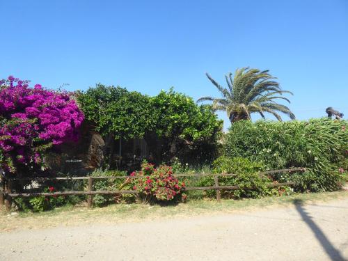 a garden with pink flowers and a wooden fence at Το Κατἑ in Artemonas