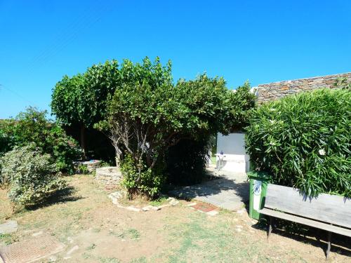 a bench in a yard with trees and a building at Το Κατἑ in Artemonas