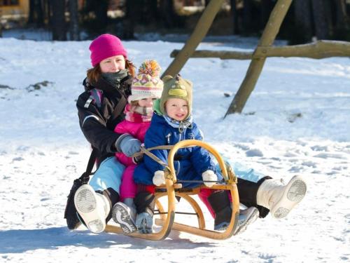 Eine Frau und zwei Kinder reiten auf einem Schlitten im Schnee in der Unterkunft Landal Marina Lipno in Lipno nad Vltavou