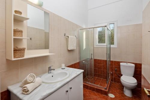 a bathroom with a sink and a shower and a toilet at Panorama Apartments in Afionas