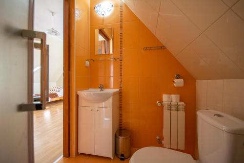 een badkamer met een wastafel en een toilet bij Willa Bukowina in Bukowina Tatrzańska