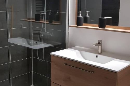 uma casa de banho com um lavatório e um chuveiro em Appartement cosy proche la Part Dieu em Lyon