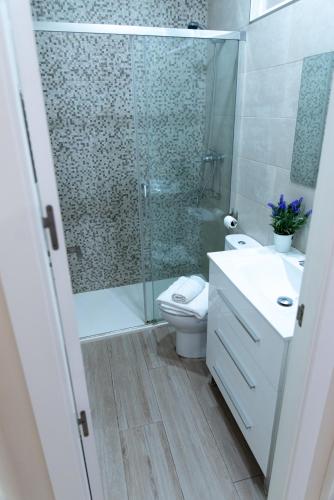 a bathroom with a shower and a toilet and a sink at FAMORCAS Centro A y B in Almodóvar del Río