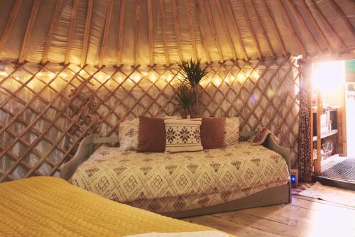 um quarto com uma cama numa tenda em Mushroom Yurt em Aberystwyth