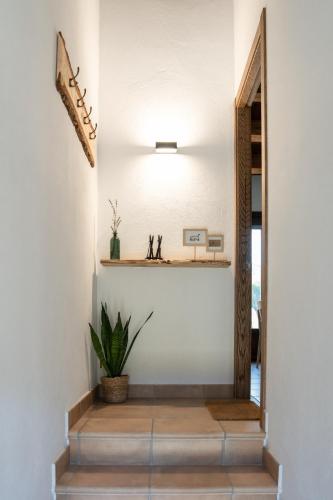 a hallway with a staircase with a mirror and a plant at El Racó in Camprodon