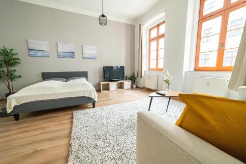 1 dormitorio con 1 cama y TV. en FullHouse - Görlitz - B7 Bruno - 3 Bedrooms, en Görlitz