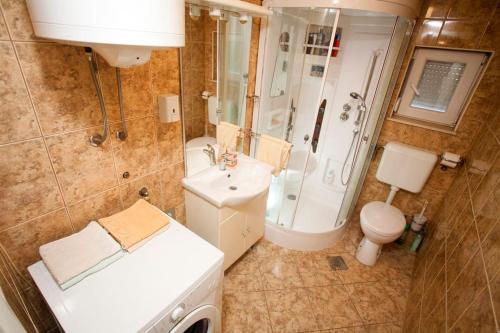een badkamer met een toilet, een douche en een wastafel bij Apartments Pavic in Jesenice