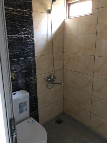a bathroom with a toilet and a shower at Деревенский домик,Eco Chakvi in Chakvi