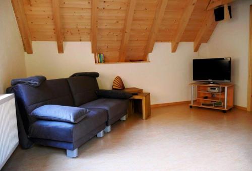 sala de estar con sofá y TV de pantalla plana en Ferienhaus In der Erlebach en Elmstein