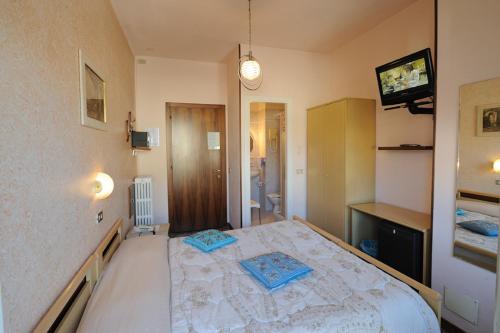 a bedroom with a large bed in a room at Hotel Elena in Stresa