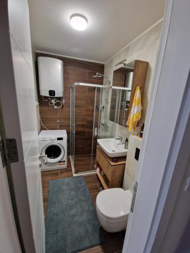 a small bathroom with a toilet and a sink at Jahorina Woods - na stazi, ski-to-door in Jahorina