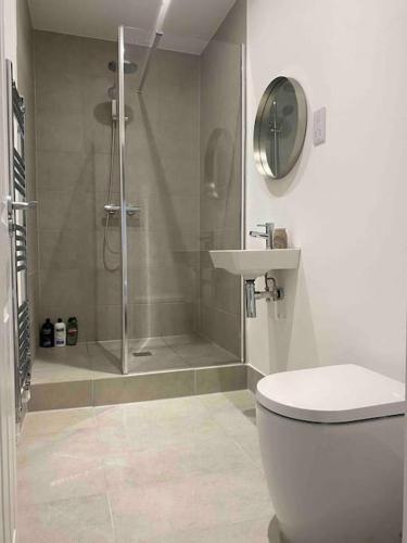 a bathroom with a shower and a toilet and a sink at Charming Apartment BARBICAN/HOE PARKING,Courtyard! in Plymouth