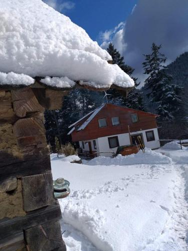 une maison recouverte de neige dans l'établissement Cabana Bradul, à Colibiţa