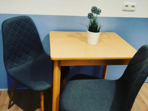 a table with two chairs and a potted plant on it at Fewo Zum Sonnenschein in Simmerath