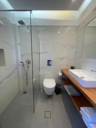 e bagno con doccia, servizi igienici e lavandino. di Danae Hotel a Città di Egina