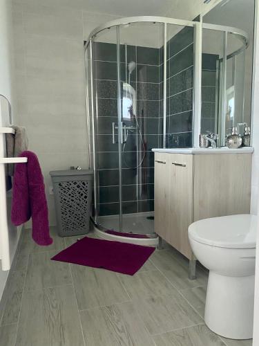 une salle de bain avec une douche, des toilettes et un lavabo dans l'établissement Le Pâtis Karadok - le gîte à la ferme du Karadok'Inn, à Mesvres