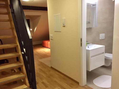 een badkamer met een toilet en een wastafel bij Apartments Aarbergergasse in Bern