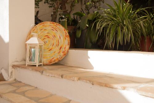 a lantern sitting on a ledge with plants at Sotza’s Little House in Padru