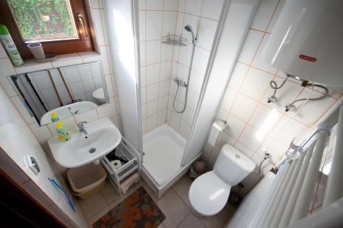 a bathroom with a shower and a sink and a toilet at Apartamenty Rodzinne Łukęcin in Łukęcin