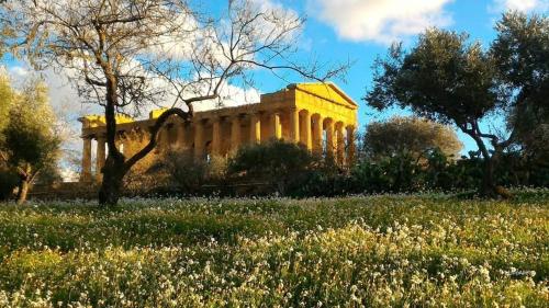 a building in the middle of a field of flowers at The Garden House alla Scala dei Turchi in Realmonte