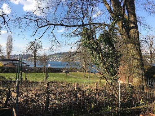 uma cerca em frente a um campo com uma árvore em Studio am Vierwaldstättersee em Lucerna