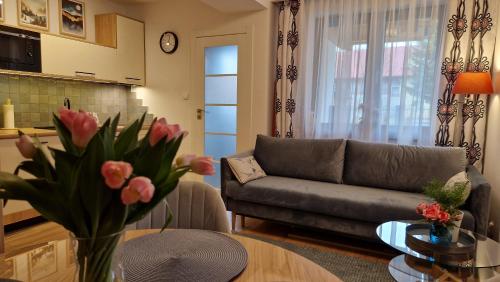 Apartament Czarna Owca - Grapa SUN & SNOW 667-494-631