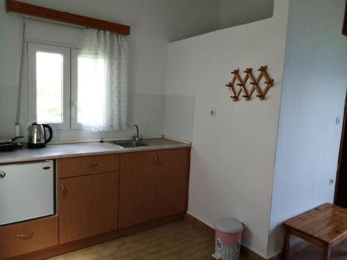 Kuchyň nebo kuchyňský kout v ubytování RODON PANDELI APARTMENT in Spilia Leros