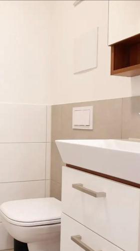 een witte badkamer met een toilet en een wastafel bij Gehobenes Apartment mit Balkon in Reutlingen
