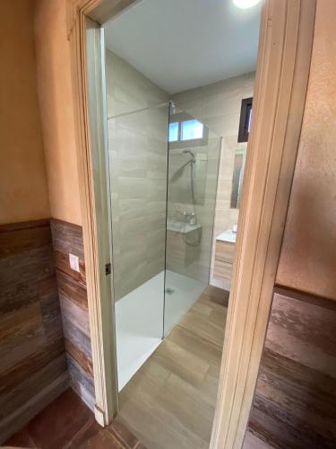 a shower in a bathroom with a glass door at Casas Guemon in Zahora