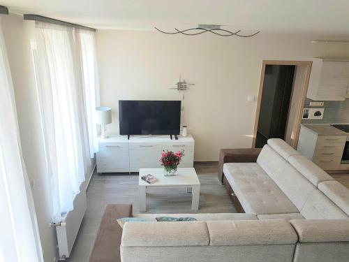 ein Wohnzimmer mit einem Sofa und einem TV in der Unterkunft Silver Lodge Apartment 1 Eger in Eger