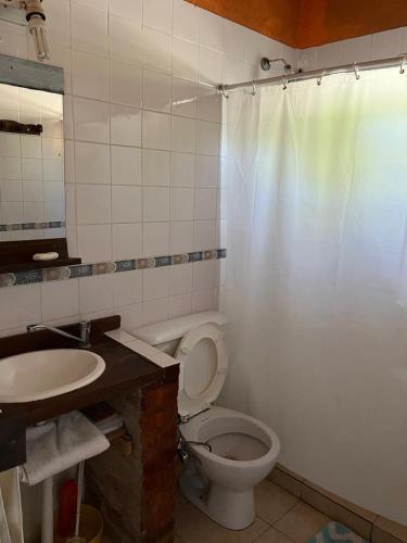 a bathroom with a toilet and a sink and a shower at BanTelmo in Juana Koslay 