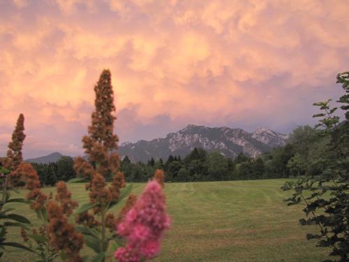 a painting of a field with mountains in the background at Ferienbungalow Schlossblick in Füssen