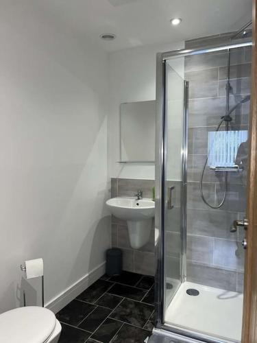 W łazience znajduje się prysznic, toaleta i umywalka. w obiekcie Lovely one bed, open plan studio apartment. w mieście Culloden