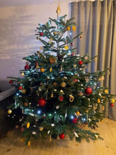 a christmas tree with ornaments on it at Lipnohaus in Horní Planá