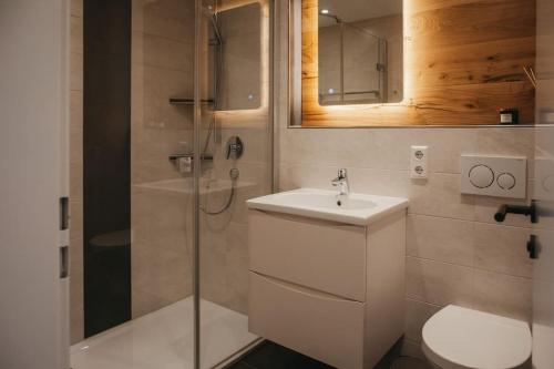 uma casa de banho com um WC, um lavatório e um chuveiro em Schwarzwald Loft Menzenschwand em Menzenschwand