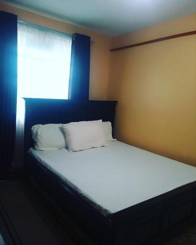 een bed met 2 kussens en een raam in een kamer bij Sassy's Hub in Kakamega