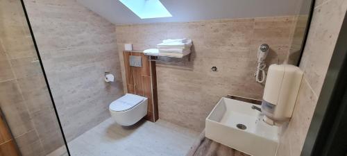a bathroom with a toilet and a sink at Casa Pe Vale in Râşnov