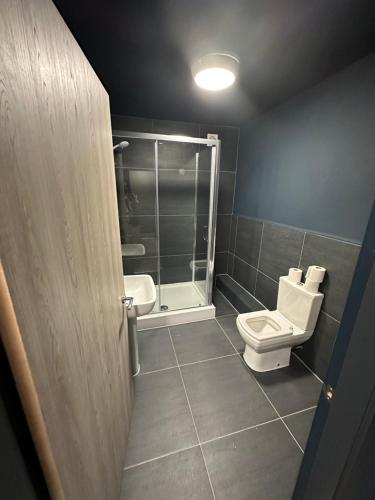 a bathroom with a toilet and a shower at Penthouse Apartment, Sleeps 21 with terrace in Liverpool
