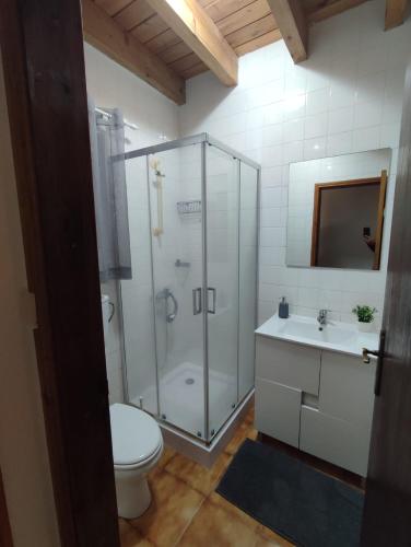 a bathroom with a shower and a toilet and a sink at Casa Caminho da Barca in Madalena