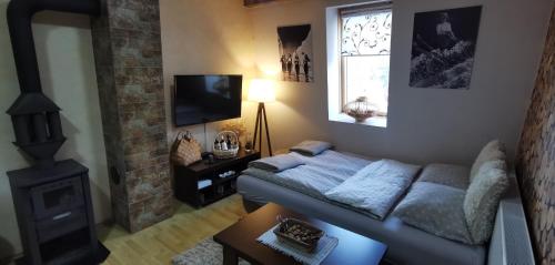 a living room with a couch and a tv and a fireplace at Apartman Spirit of Vlašić in Vlasic