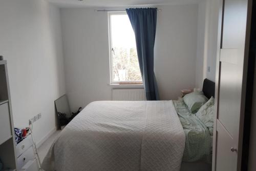 1 dormitorio con cama y ventana en Cosy and spacious apartment in Forest Hill en Forest Hill