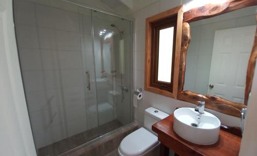 een badkamer met een wastafel, een douche en een toilet bij Cabaña para dos en Conguillio in Melipeuco