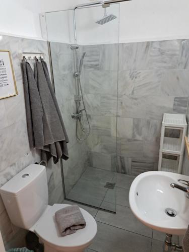 a bathroom with a shower and a toilet and a sink at Garden Rooms in Pírgos Psilonérou