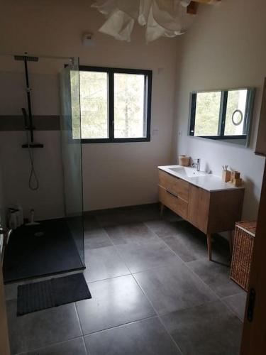 une salle de bain avec une douche, une baignoire et un lavabo dans l'établissement Magnifique villa avec jacuzzi et billard, à Limoux