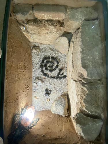 a rock formation in the floor of a stone wall at Lu Bàtil B&B - Rooms in Alghero