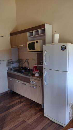 a kitchen with a white refrigerator and a microwave at Laguna de los Cisnes in Perito Moreno