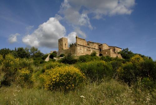 an old castle sitting on top of a hill at Bed & Bike in Volterra