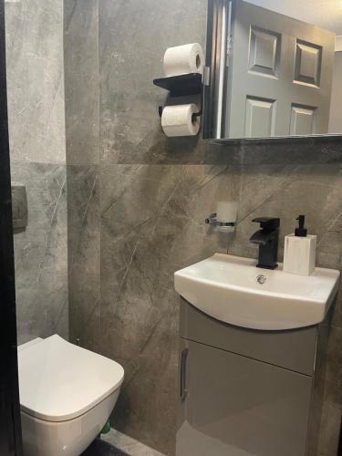 a bathroom with a toilet and a sink and a mirror at Da Vinci Guest House & Guest Parking, A Real Gem in Crawley