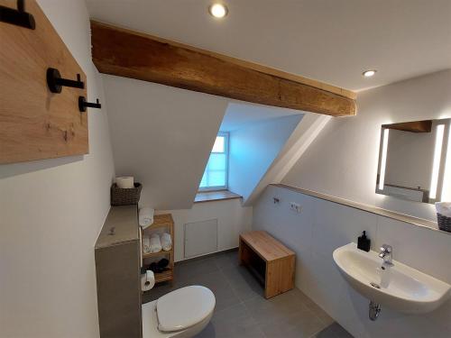 een badkamer met een wit toilet en een wastafel bij Gasthaus zum Ochsen in Mönchberg